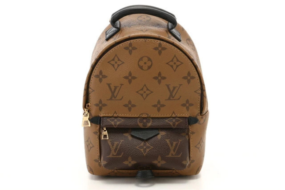 LOUIS VUITTON Backpack Rucksack Palm Springs Mono Reverse